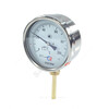 Термометр биметаллический Дк100 радиальный 100С БТ-52.211 Росма