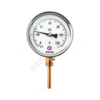 Термометр биметаллический Дк100 радиальный 160С БТ-52.211 Росма