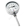 Термометр биметаллический Дк100 радиальный 60С БТ-52.220 Росма